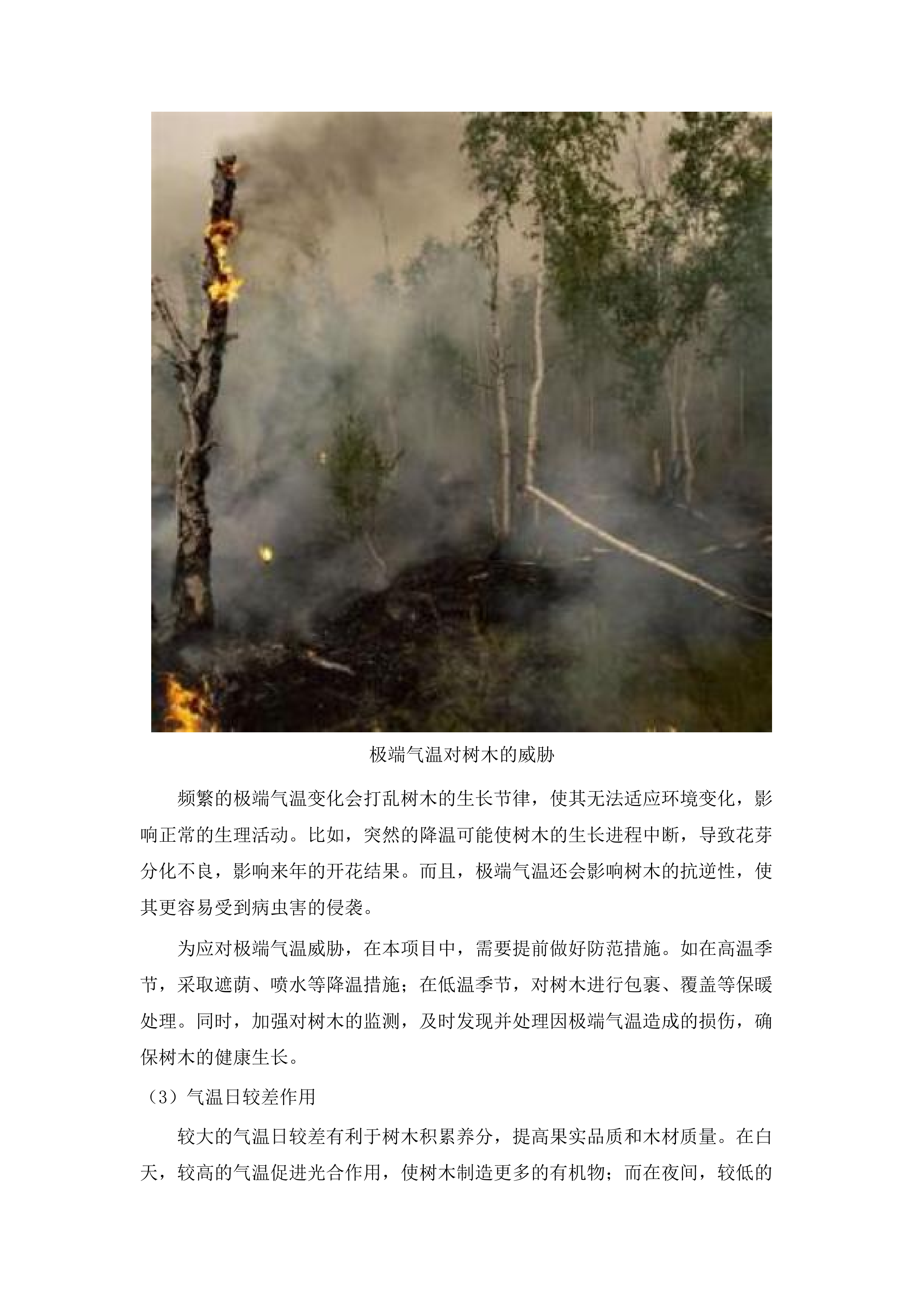 始兴县2025年森林质量精准提升森林抚育.docx 第15页