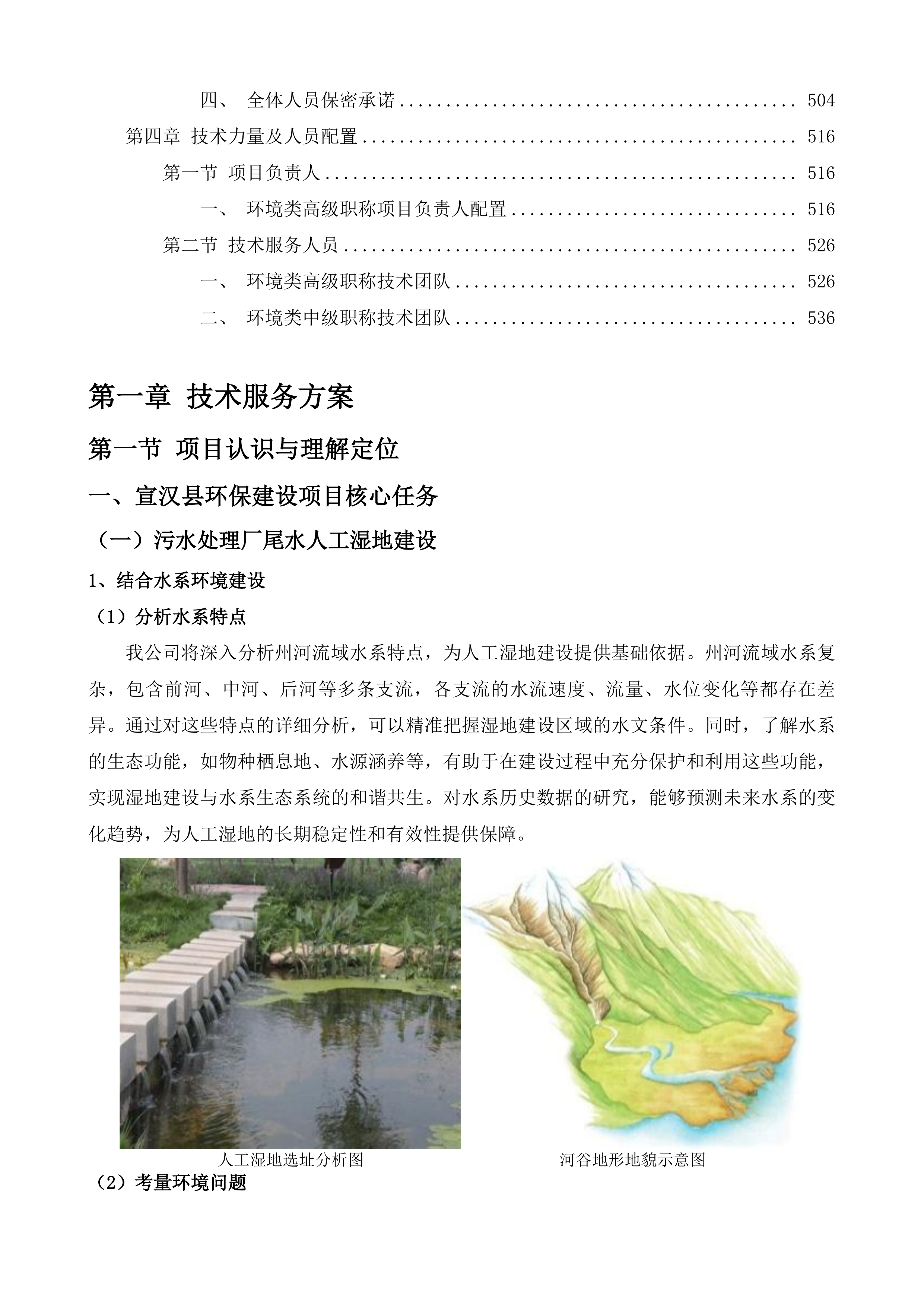 宣汉县州河流域重点乡镇污水处理厂尾水人工湿地建设项目等4个项目策划包装咨询服务投标方案.docx 第3页