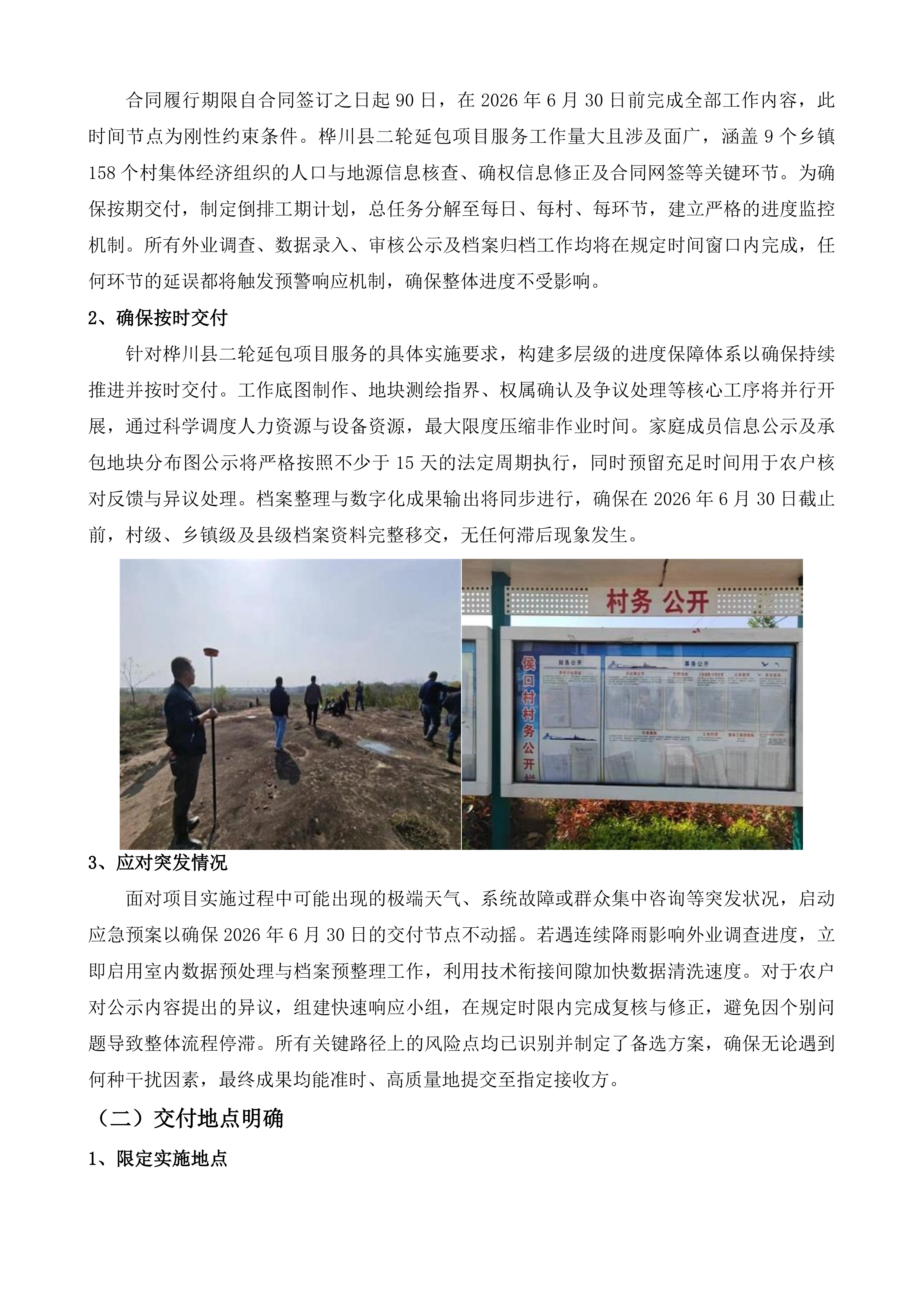 桦川县二轮延包项目服务投标方案.docx 第9页