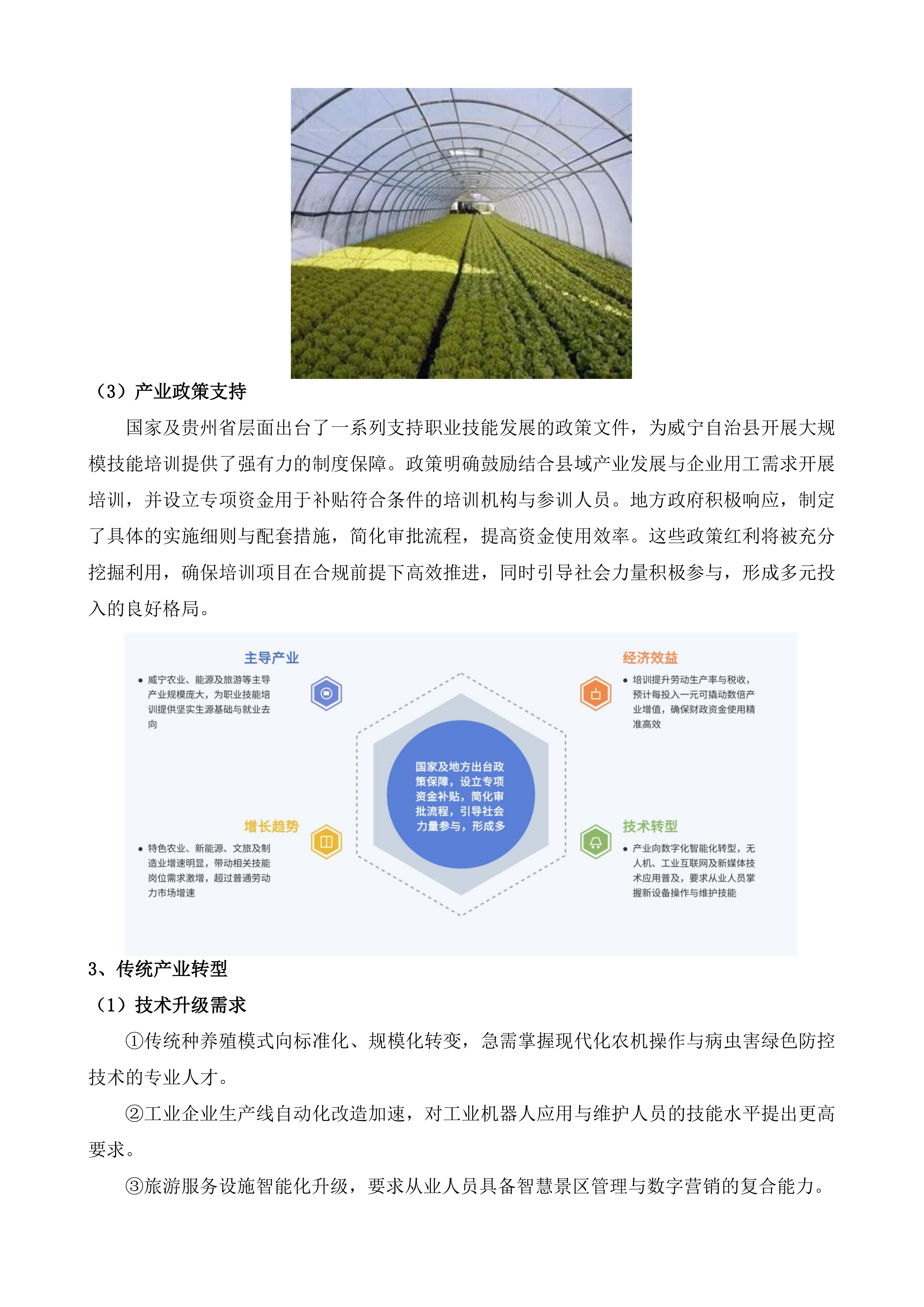威宁彝族回族苗族自治县人力资源和社会保障局采购项目投标方案.docx 第6页